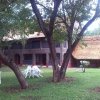 Отель Mopani Lodge, фото 16