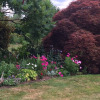 Отель Malvern Holiday Garden Flat, фото 15