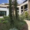 Отель Apartment with One Bedroom in Lattes, with Wonderful City View, Pool Access, Furnished Terrace - 5 K, фото 1