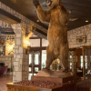Отель Y O Ranch Hotel, фото 19