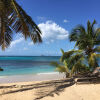 Отель Mango Bay Resort, фото 8
