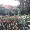 Отель Room in Apartment - Wonderfull View to the Entire bay of Zaton, фото 17