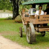 Отель Pousada Fazenda Buracao, фото 28