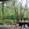 Отель Rocky Creek Art Garden B&B, фото 3