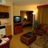 Отель Homewood Suites By Hilton Atlanta-peachtree, фото 5