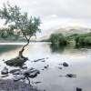 Отель Snowdonia Stone Cottage, фото 19