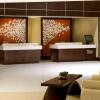 Отель Hyatt Regency Suites Atlanta Northwest, фото 20