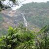 Отель Dudhsagar Plantation, фото 30