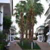 Отель Seti Sharm Palm Beach Resort в Шарм-эль-Шейхе