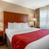 Отель Comfort Suites North Dallas, фото 4