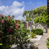 Отель Little Cactus Apartments Aruba, фото 25