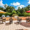 Отель Best Western Plus Sanford Airport/Lake Mary Hotel, фото 33