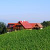 Отель Weingut Winzerzimmer Rothschädl, фото 16