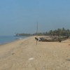 Отель Narikulam Tharavad, фото 4