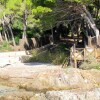 Отель House with 5 Bedrooms in Son Servera, with Wonderful Sea View, Terrace And Wifi, фото 23