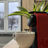 Однокомнатные апартаменты Pro.apartment Центр Амалиенау, фото 13