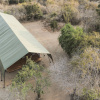 Отель Topan Yala – Luxury Tented Safari, фото 3
