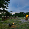 Отель Кемпинг Wild Trails Yala Eco Camp by Yoho, фото 26