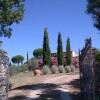 Отель Agriturismo Podere San Lorenzo 1866, фото 8