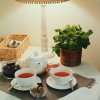 Мини-отель Albergo, фото 4