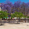 Апартаменты Homearts Málaga, фото 34
