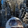 Гостиница Глэмпинг Алтай Forest Glamp, фото 26