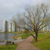 Гостиница Квартира Белого Льва, фото 19