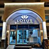 Отель Lotus Boutique-hotel, фото 18