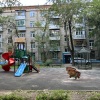 Гостиница Квартира Уютная в Москве, фото 19