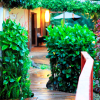 Отель Easter Island Eco Lodge, фото 50