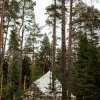 Гостиница Глэмпинг Майтри кэмп на Финском заливе, фото 10