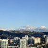 Гостиница Квартира Виноградная 19, фото 11