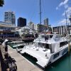 Апартаменты Auckland Harbour Central в Окленде