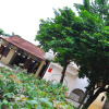 Гостевой Дом Petunia Garden Homestay, фото 5