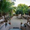 Отель Gir Lions Paw Resort, фото 5