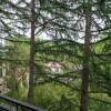 Апартаменты возле Дендрария, фото 6