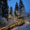 Гостиница Глэмпинг Алтай Forest Glamp, фото 47