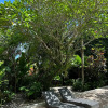 Отель Вилла Surf House Santai, фото 27