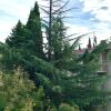 Апартаменты На Цветном бульваре, фото 32