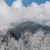 Гостиница AYS Let It Snow Hotel Роза Хутор в Эсто-Садке