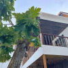 Отель Fatims Beach House Maafushi, фото 3