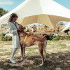 Гостиница Dikaya Sobaka Dingo Glamping, фото 1