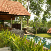 Отель Plataran Borobudur Resort and Spa, фото 12