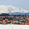 Апартаменты в Бакуриани, фото 4