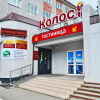 Гостиница Колос, фото 18