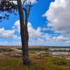 Отель WOT Peniche Pinhalmar, фото 22
