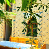 Гостевой дом Colibri Traditional Guest House, фото 13