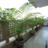 Отель Harnawa Haveli, фото 17
