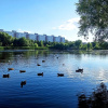 Гостиница Квартира у озера, фото 2
