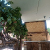 Отель Guest house Tevosyan 43, фото 16